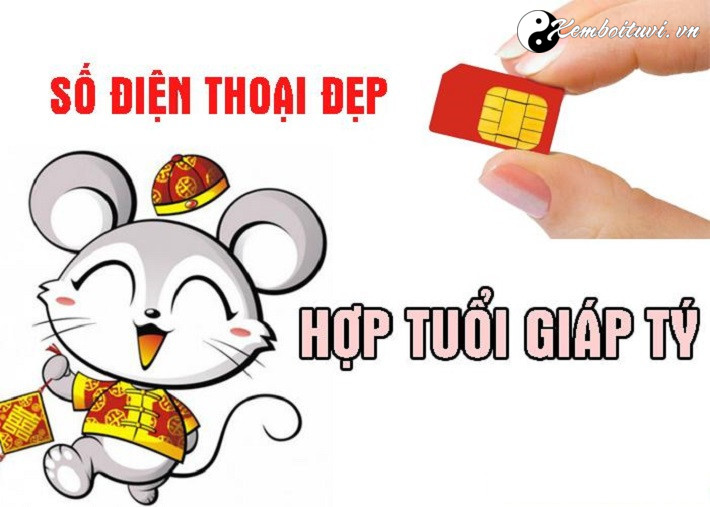 Năm 1984 là năm con gì Sinh năm 1984 là mệnh gì Tuổi gì