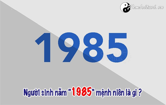 Năm 1985 là năm con gì Sinh năm 1985 là mệnh gì Tuổi gì