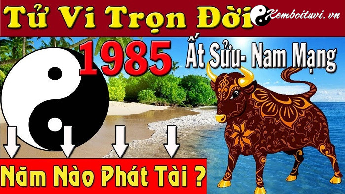 Năm 1985 là năm con gì Sinh năm 1985 là mệnh gì Tuổi gì