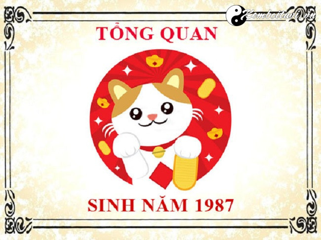 Năm 1987 là năm con gì Sinh năm 1987 là mệnh gì Tuổi gì