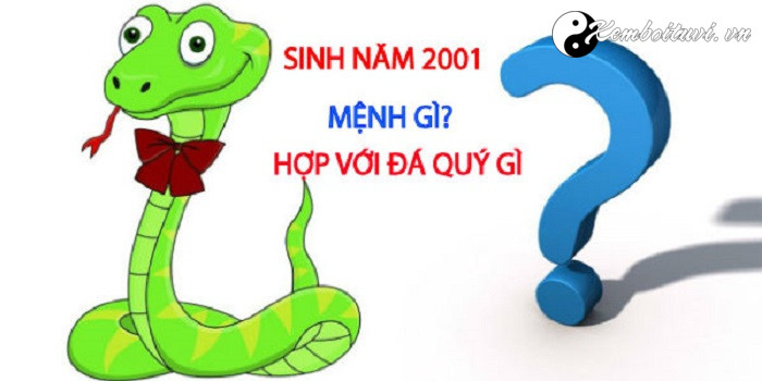 Năm 2001 là năm con gì Sinh năm 2001 là mệnh gì Tuổi gì