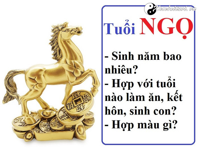 Năm 2002 là năm con gì Sinh năm 2002 là mệnh gì Tuổi gì