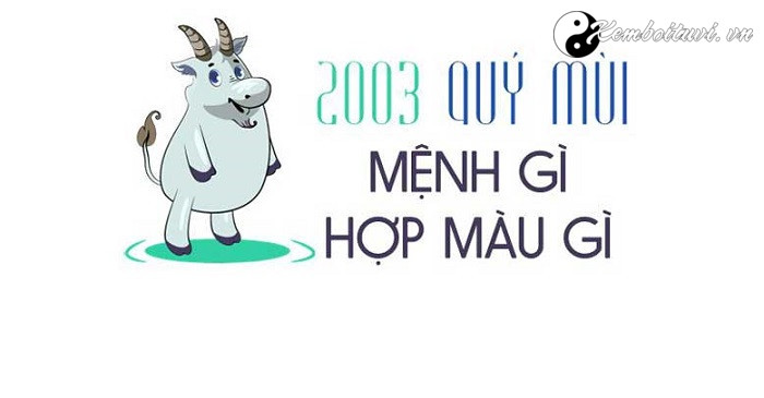 Năm 2003 là năm con gì? Sinh năm 2003 là mệnh gì? Tuổi gì?