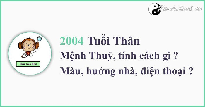 Năm 2004 là năm con gì Sinh năm 2004 là mệnh gì Tuổi gì