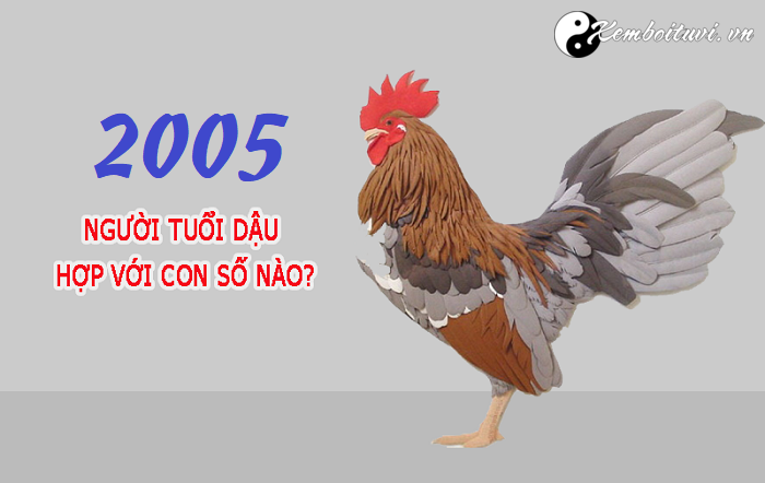 Năm 2005 là năm con gì Sinh năm 2005 là mệnh gì Tuổi gì