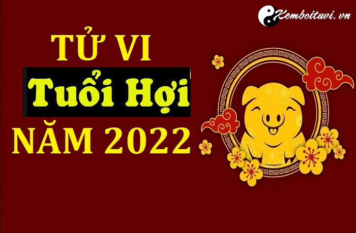 tu-vi-tuoi-hoi-nam-nham-dan-2022