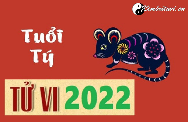 tu-vi-tuoi-ty-nam-nham-dan-2022