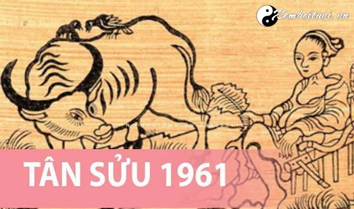 Năm 1961 là năm con gì Sinh năm 1961 là mệnh gì Tuổi gì