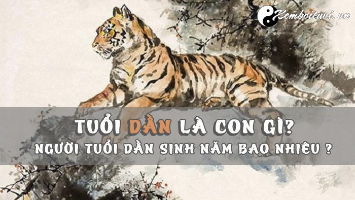 Năm 1962 là năm con gì Sinh năm 1962 là mệnh gì Tuổi gì