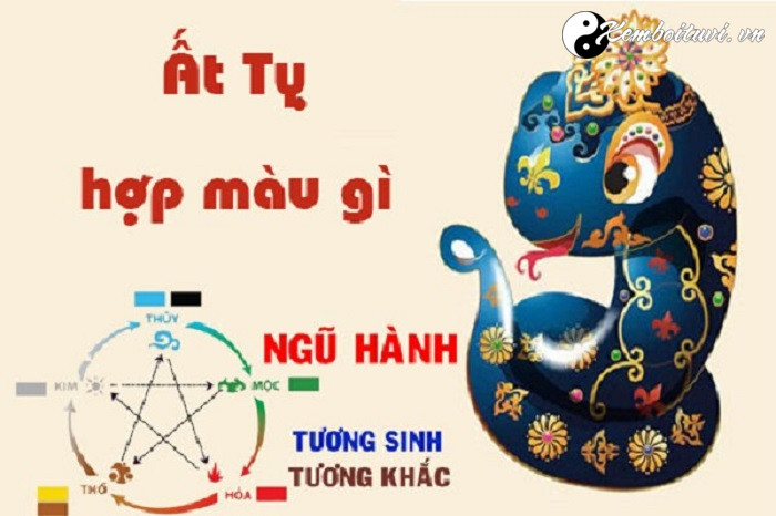 Năm 1965 là năm con gì Sinh năm 1965 là mệnh gì Tuổi gì