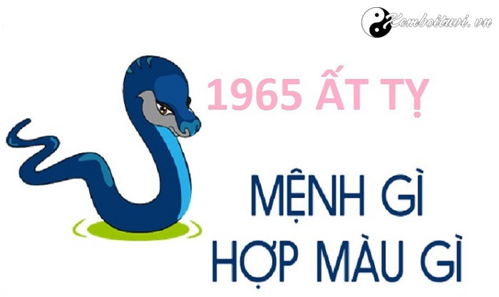 Năm 1965 là năm con gì Sinh năm 1965 là mệnh gì Tuổi gì