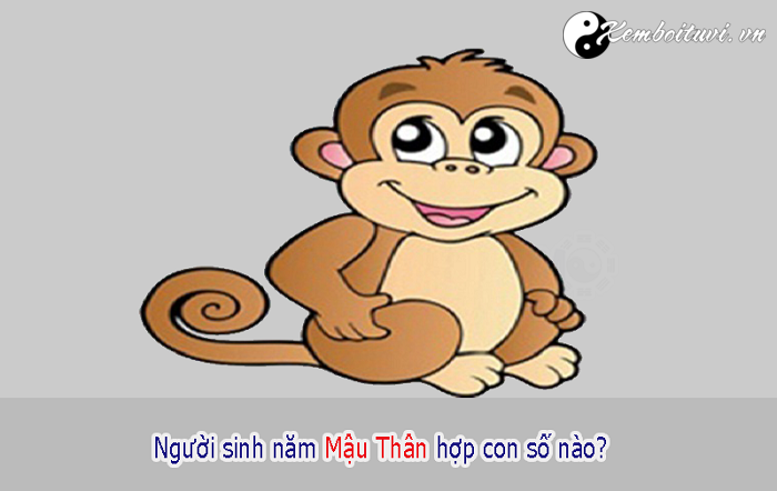 Năm 1968 là năm con gì Sinh năm 1968 là mệnh gì Tuổi gì