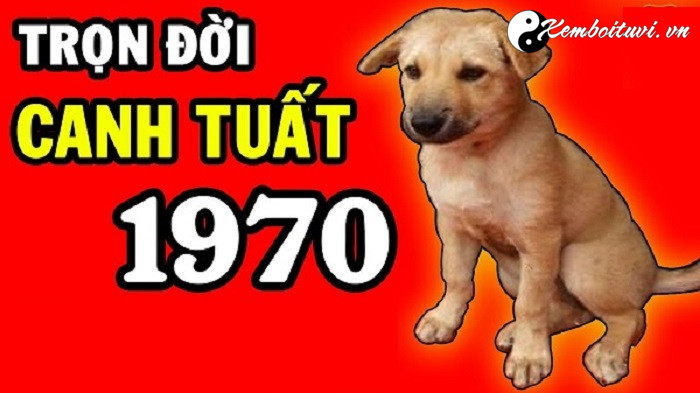 Năm 1970 là năm con gì Sinh năm 1970 là mệnh gì Tuổi gì