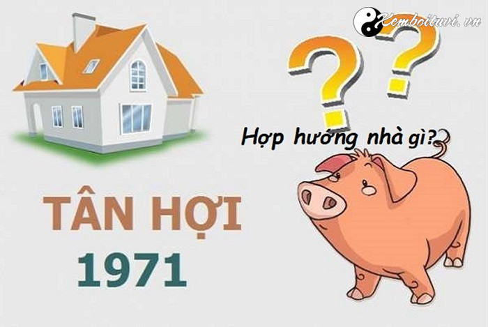 Năm 1971 là năm con gì Sinh năm 1971 là mệnh gì Tuổi gì