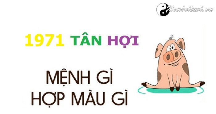 Năm 1971 là năm con gì Sinh năm 1971 là mệnh gì Tuổi gì