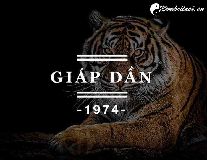 Năm 1974 là năm con gì Sinh năm 1974 là mệnh gì Tuổi gì