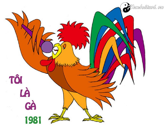 Năm 1981 là năm con gì Sinh năm 1981 là mệnh gì Tuổi gì