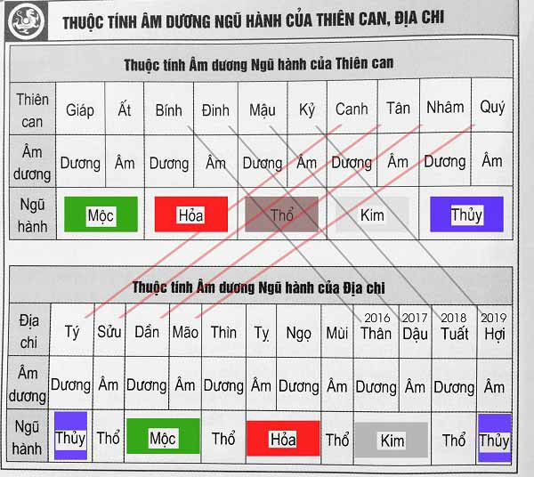 Cơ sở hình thành Thiên Can Địa Chi