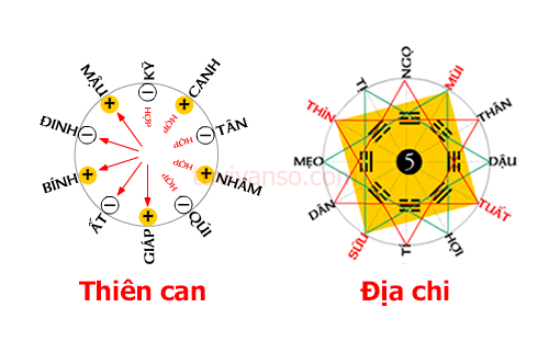 Can Chi là gì? Dẫn giải 10 Thiên Can và 12 Địa Chi