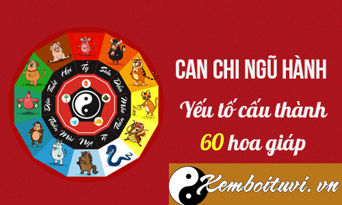 Can chi ngũ hành