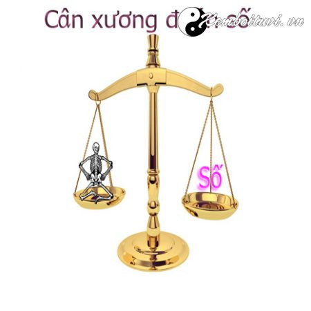 Cân xương đoán số