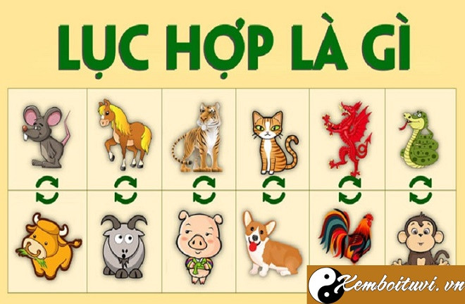 Lục hợp là gì