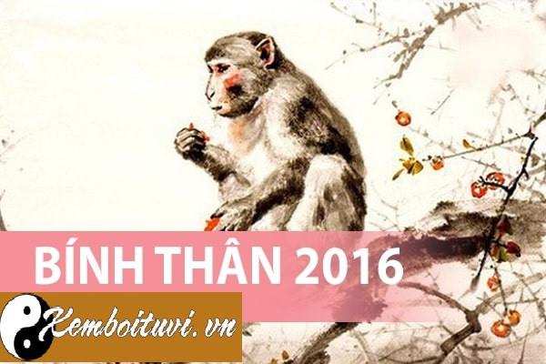 Năm 2016 là năm con gì? Sinh năm 2016 là mệnh gì? Tuổi gì ?