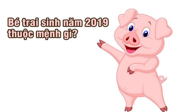 Năm 2019 là năm con gì? Sinh năm 2019 là mệnh gì? Tuổi gì ?