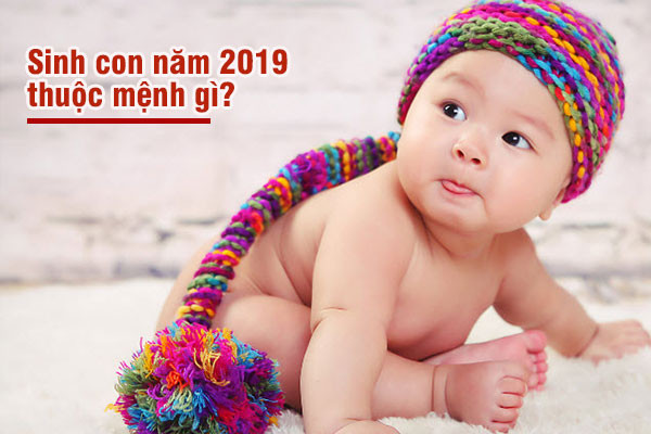 Năm 2019 là năm con gì? Sinh năm 2019 là mệnh gì? Tuổi gì ?