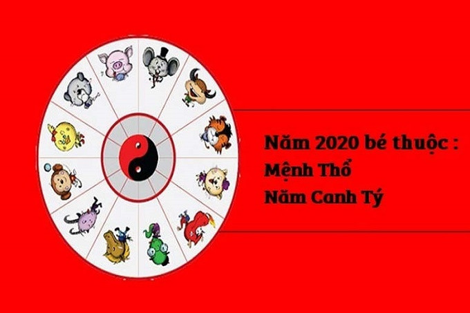 Năm 2020 là năm con gì? Sinh năm 2020 là mệnh gì? Tuổi gì ?