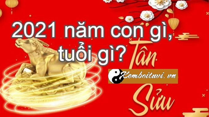 Năm 2021 là năm con gì? Sinh năm 2021 là mệnh gì? Tuổi gì ?