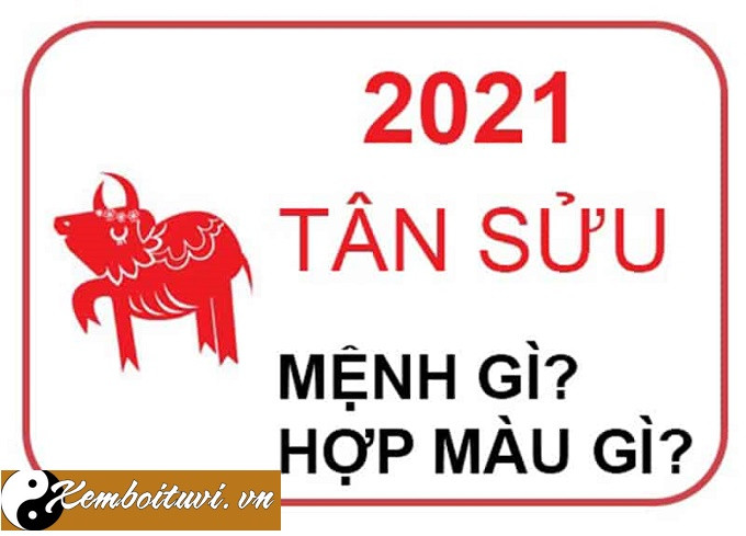 Năm 2021 là năm con gì? Sinh năm 2021 là mệnh gì? Tuổi gì ?