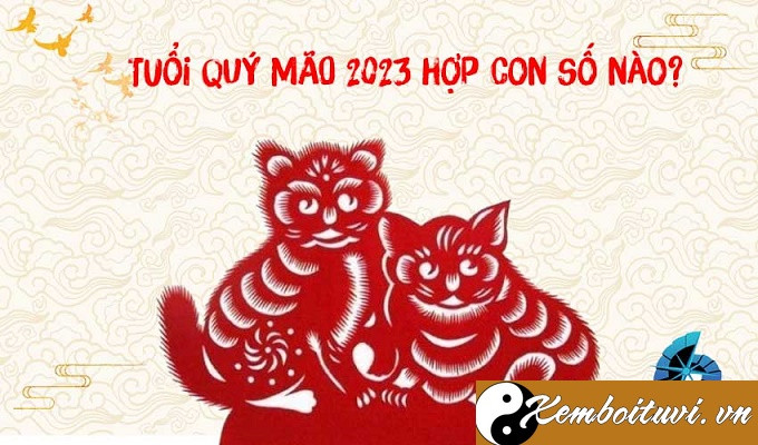 Năm 2023 là năm con gì? Sinh năm 2023 là mệnh gì? Tuổi gì ?