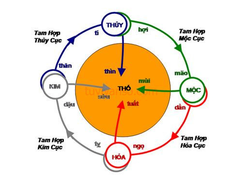 Luận Bàn Về Tam hợp Tị Dậu Sửu