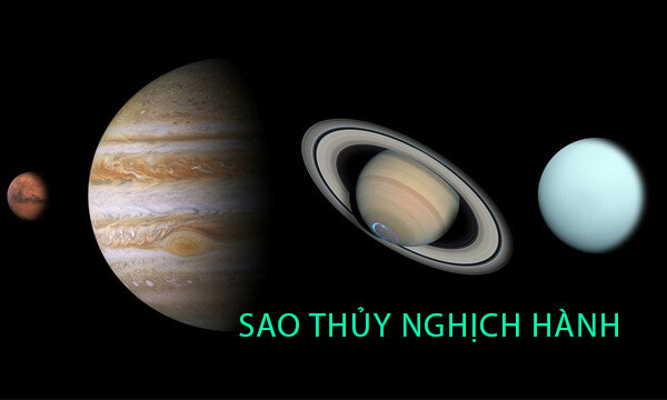 Thủy nghịch hành năm 2021