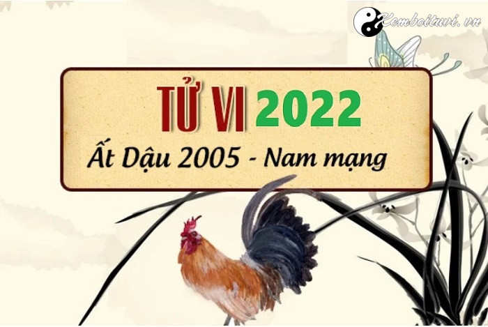 Lá số tử vi tuổi Ất Dậu năm 2022 nam mạng sinh năm #2005