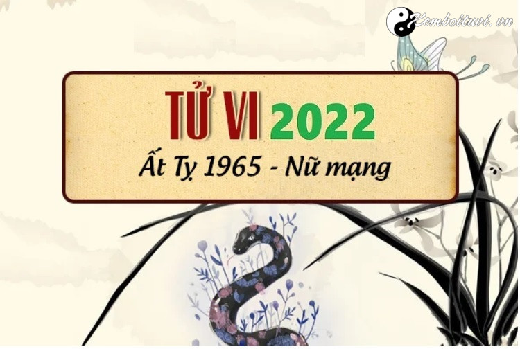 Tử vi tuổi Ất Tỵ 1965 Nam mạng năm Quý Mão 2023