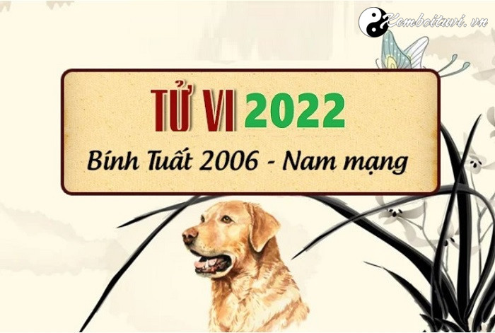 Xem tử vi tuổi Bính Tuất năm 2022 nam mạng 2006