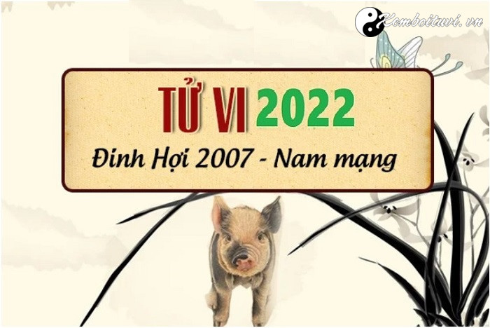 Xem tử vi tuổi Đinh Hợi năm 2022 nam mạng 2007