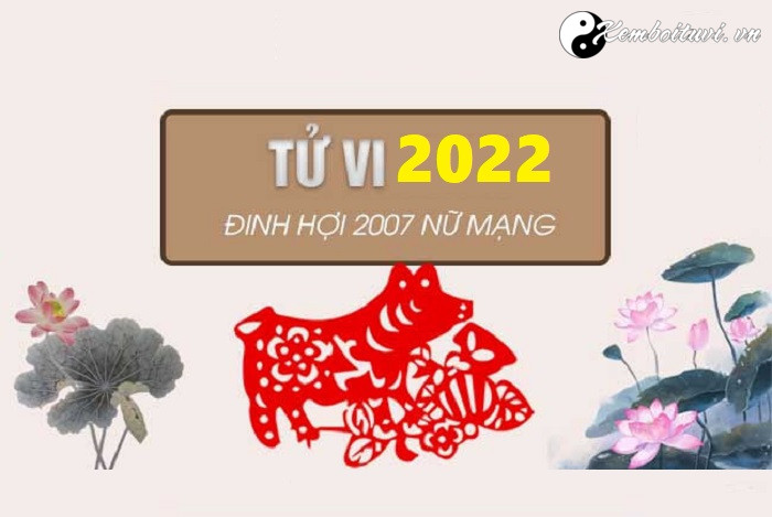 Xem tử vi tuổi Đinh Hợi năm 2022 nữ mạng 2007