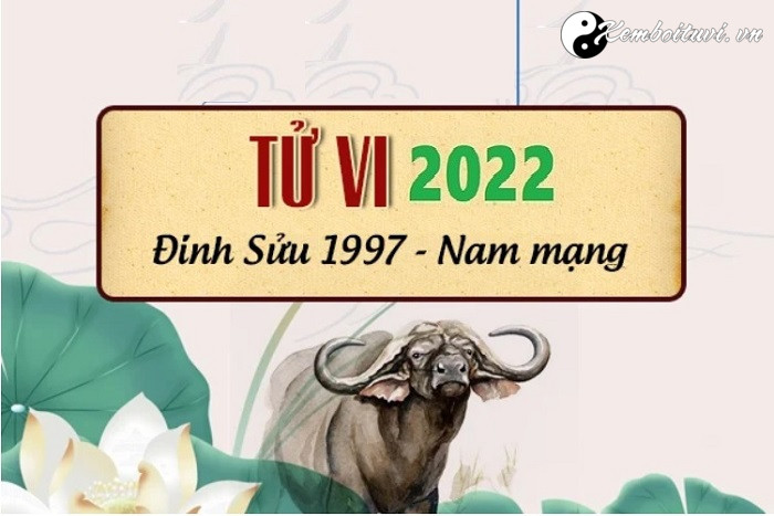 Xem tử vi tuổi Đinh Sửu năm 2022 nam mạng 1997