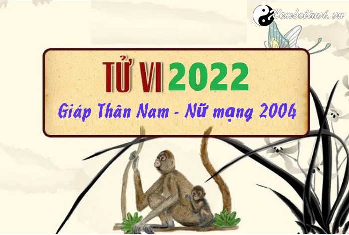 Xem tử vi tuổi Giáp Thân năm 2022 nam mạng 2004