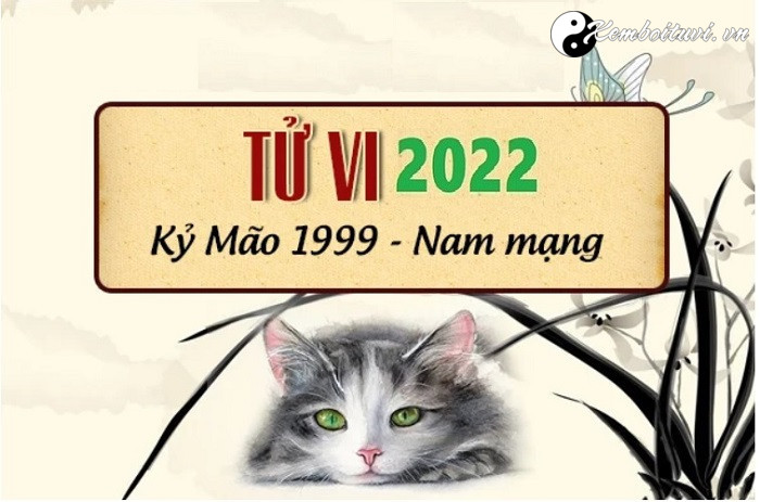 Xem tử vi tuổi Kỷ Mão năm 2022 nam mạng 1999