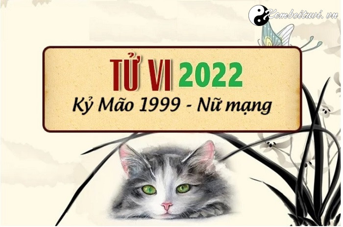 Xem tử vi tuổi Kỷ Mão năm 2022 nữ mạng 1999