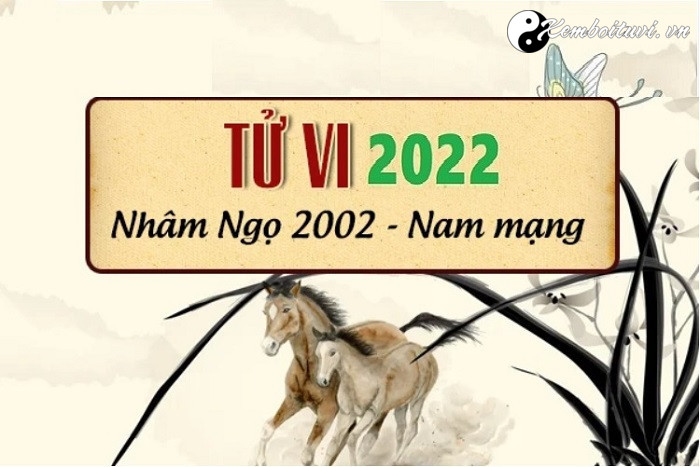 Xem tử vi tuổi Nhâm Ngọ năm 2022 nam mạng 2002