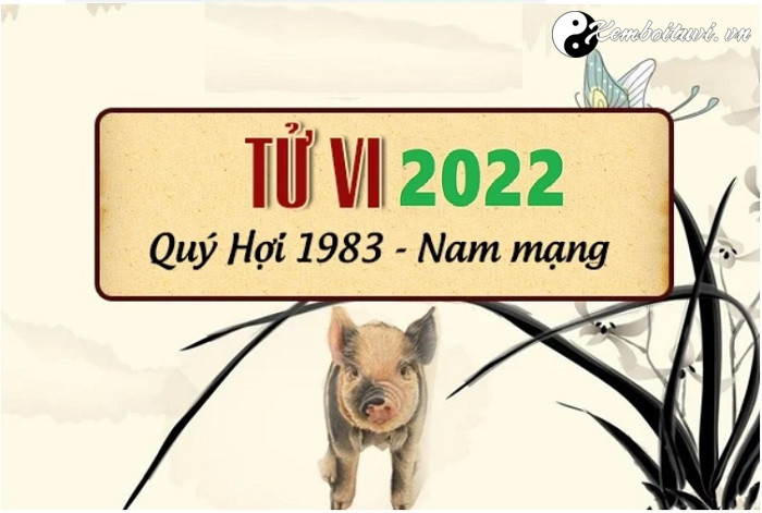 Xem tử vi tuổi Quí Hợi năm 2022 nam mạng 1983 - Nano Machine