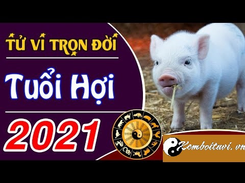 Tổng đoán tử vi năm 2021 Tân Sửu của người tuổi Hợi