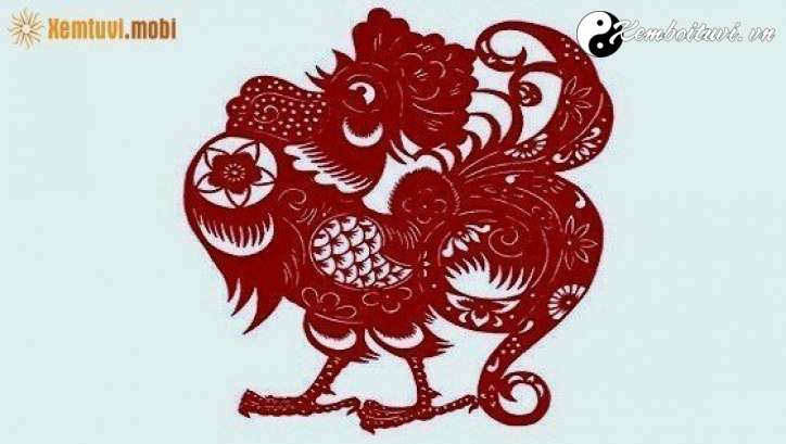 Xem phong thủy nhà bếp tuổi Dậu