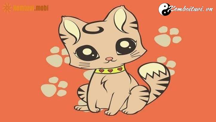 Xem phong thủy nhà bếp tuổi Mão