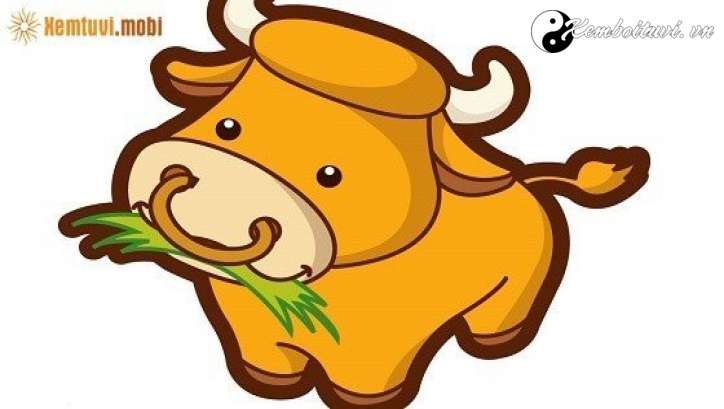 Phong thủy nhà bếp tuổi Sửu đón tài lộc